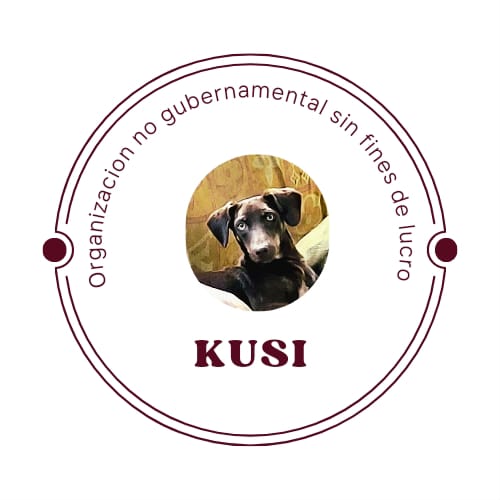 KUSI PERÚ